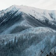 Новости компании Апекс-Одесса